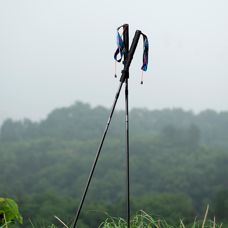 2 Stück AONIJIE faltbare Outdo – Trekking Pole Carbon Bewertung und Preis